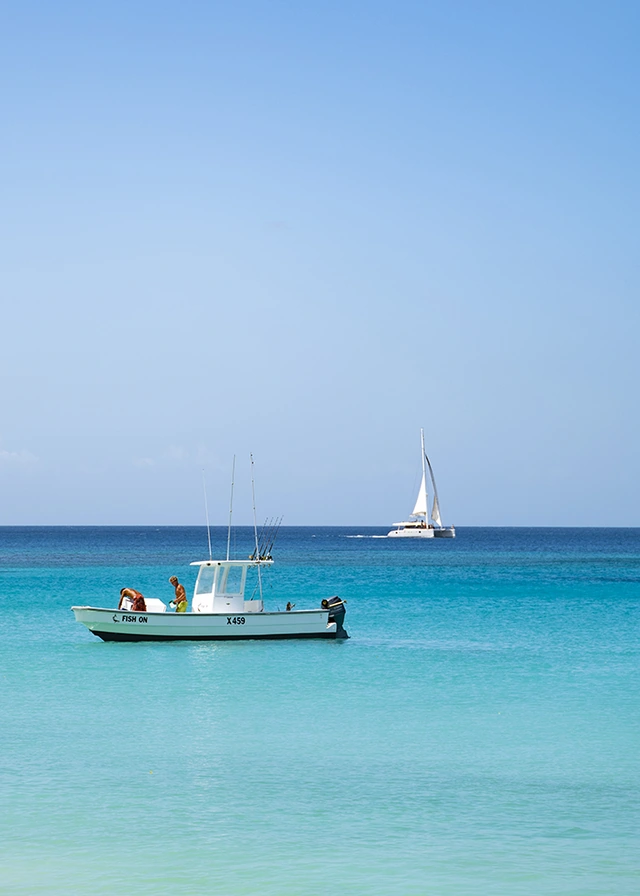 Barbados claridges holiday rental gibbs beach 32