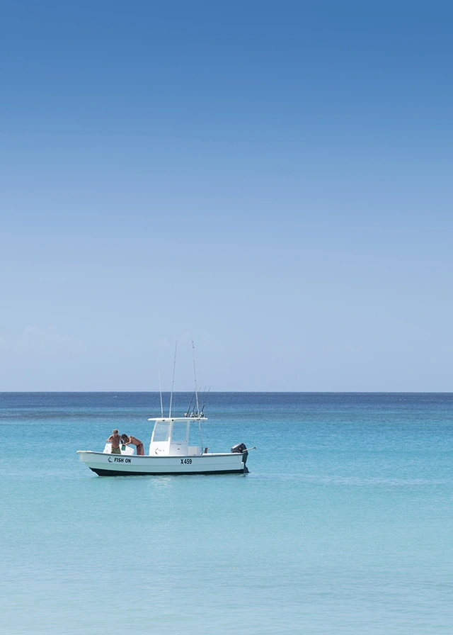 Barbados claridges holiday rental gibbs beach 33
