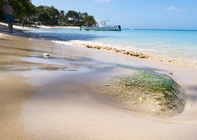 Barbados claridges holiday rental gibbs beach 38