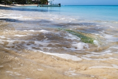 Barbados-claridges-holiday-rental-gibbes-beach-22